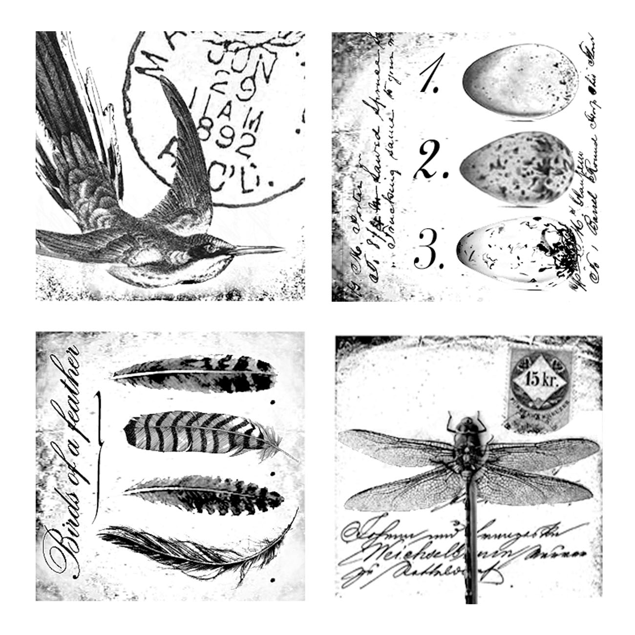 #1732b - 4 Square - Nature